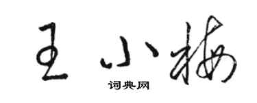 駱恆光王小梅草書個性簽名怎么寫