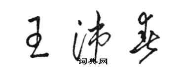 駱恆光王沛春草書個性簽名怎么寫