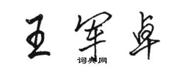 駱恆光王軍卓行書個性簽名怎么寫