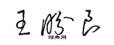 駱恆光王盼良草書個性簽名怎么寫