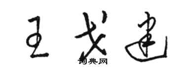 駱恆光王戈建草書個性簽名怎么寫