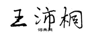 曾慶福王沛桐行書個性簽名怎么寫