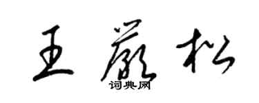 梁錦英王嚴松草書個性簽名怎么寫