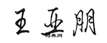 駱恆光王亞朋行書個性簽名怎么寫