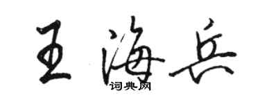 駱恆光王海兵行書個性簽名怎么寫