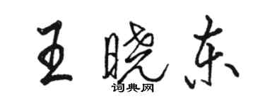 駱恆光王曉東行書個性簽名怎么寫