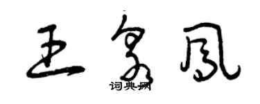 曾慶福王泉鳳草書個性簽名怎么寫