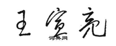 駱恆光王宣亮草書個性簽名怎么寫