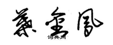 朱錫榮葉金鳳草書個性簽名怎么寫