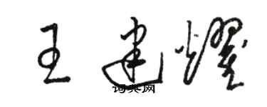 駱恆光王建耀草書個性簽名怎么寫
