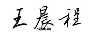 王正良王晨程行書個性簽名怎么寫