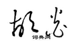 駱恆光胡炎草書個性簽名怎么寫