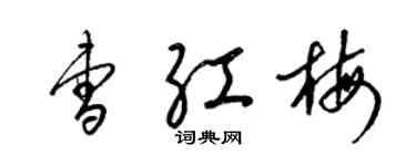 梁錦英曹紅梅草書個性簽名怎么寫