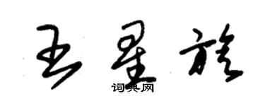 朱錫榮王星旋草書個性簽名怎么寫