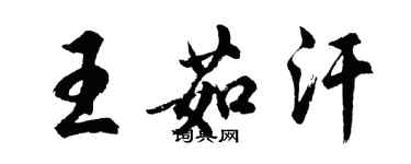 胡問遂王茹汗行書個性簽名怎么寫