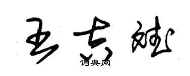 朱錫榮王吉斌草書個性簽名怎么寫