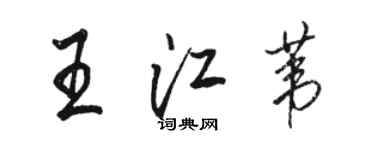 駱恆光王江葦行書個性簽名怎么寫