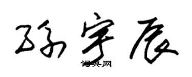 朱錫榮孫宇辰草書個性簽名怎么寫