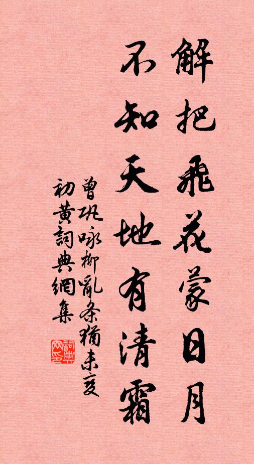 曾鞏解把飛花蒙日月,不知天地有清霜。書法作品欣賞