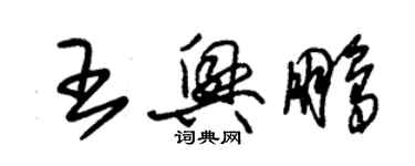 朱錫榮王興鵬草書個性簽名怎么寫