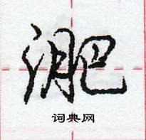 龐中華寫的硬筆行書淝