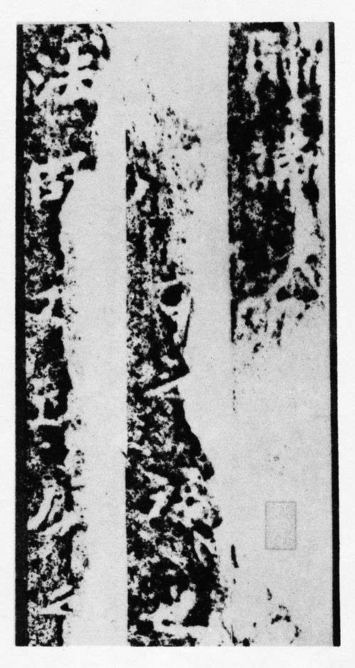 北魏《馬鳴寺根法師碑》