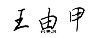 王正良王由甲行書個性簽名怎么寫