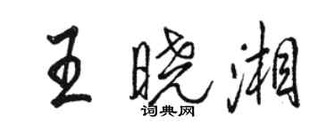 駱恆光王曉湘行書個性簽名怎么寫