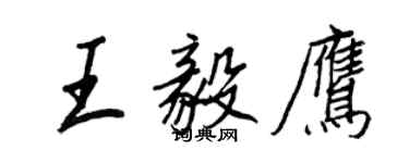 王正良王毅鷹行書個性簽名怎么寫