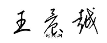 梁錦英王晨越草書個性簽名怎么寫