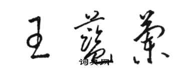 駱恆光王藍蘭草書個性簽名怎么寫