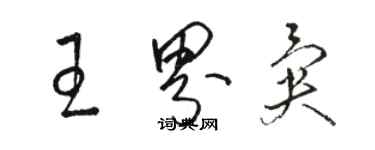 駱恆光王界異草書個性簽名怎么寫