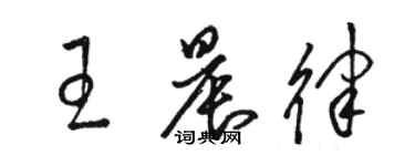 駱恆光王晨律草書個性簽名怎么寫