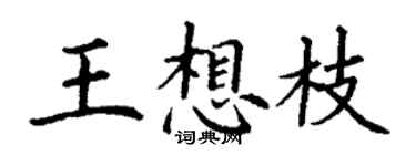 丁謙王想枝楷書個性簽名怎么寫