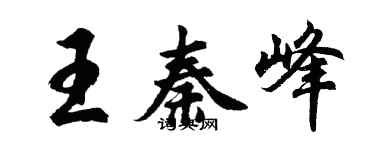 胡問遂王秦峰行書個性簽名怎么寫
