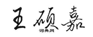 駱恆光王碩嘉行書個性簽名怎么寫