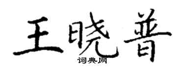 丁謙王曉普楷書個性簽名怎么寫