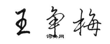 駱恆光王爭梅行書個性簽名怎么寫