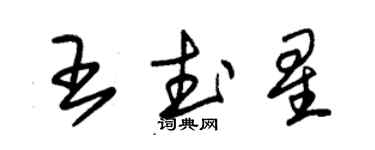 朱錫榮王武星草書個性簽名怎么寫