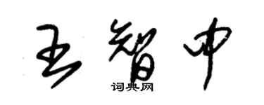 朱錫榮王智中草書個性簽名怎么寫