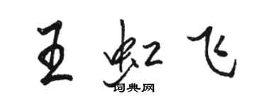 駱恆光王虹飛行書個性簽名怎么寫