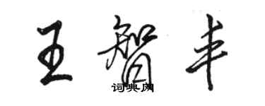 駱恆光王智豐行書個性簽名怎么寫