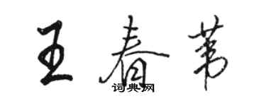 駱恆光王春葦行書個性簽名怎么寫