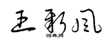 曾慶福王新風草書個性簽名怎么寫