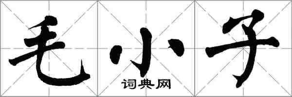 翁闓運毛小子楷書怎么寫