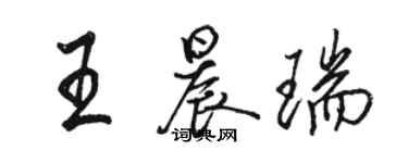 駱恆光王晨瑞行書個性簽名怎么寫