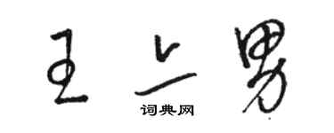 駱恆光王亦男草書個性簽名怎么寫