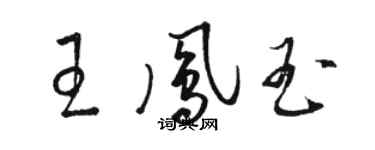 駱恆光王鳳玉草書個性簽名怎么寫