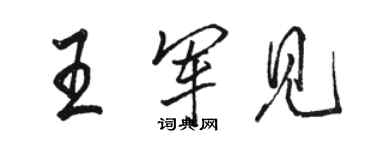 駱恆光王軍見行書個性簽名怎么寫