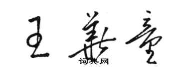 駱恆光王華童草書個性簽名怎么寫